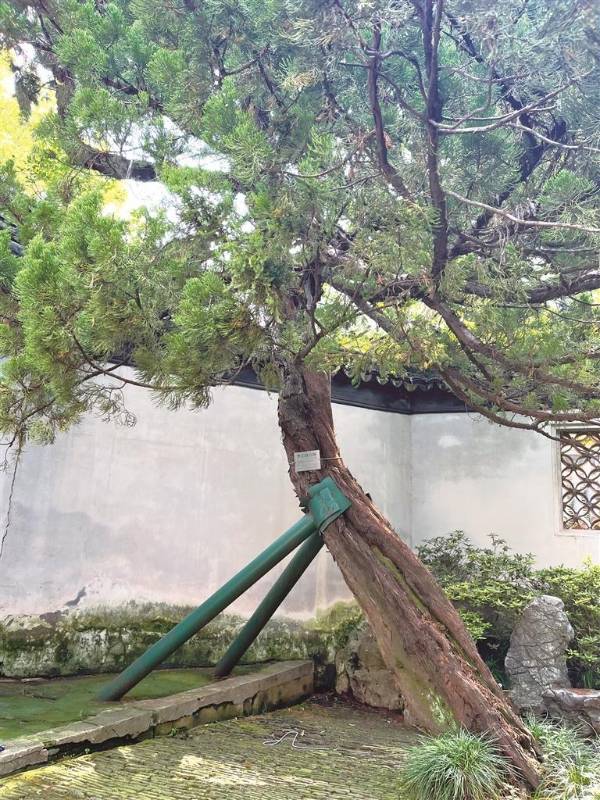 1742192383763704.jpg 2.jpg