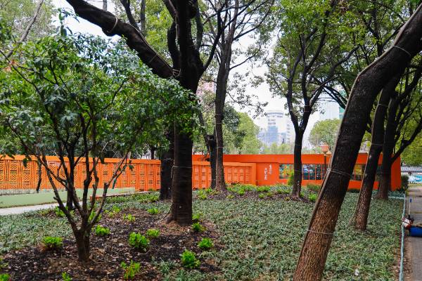 1742192436693014.jpg 5.jpg