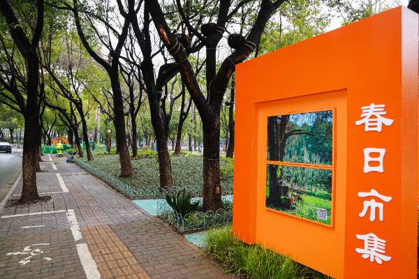 1742192439399164.jpg 6.jpg