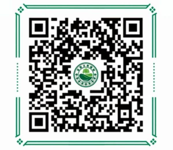 1742197522394565.jpg 2 (1).jpg