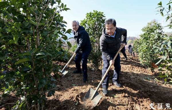 1742261039698533.jpg 1 (1).jpg