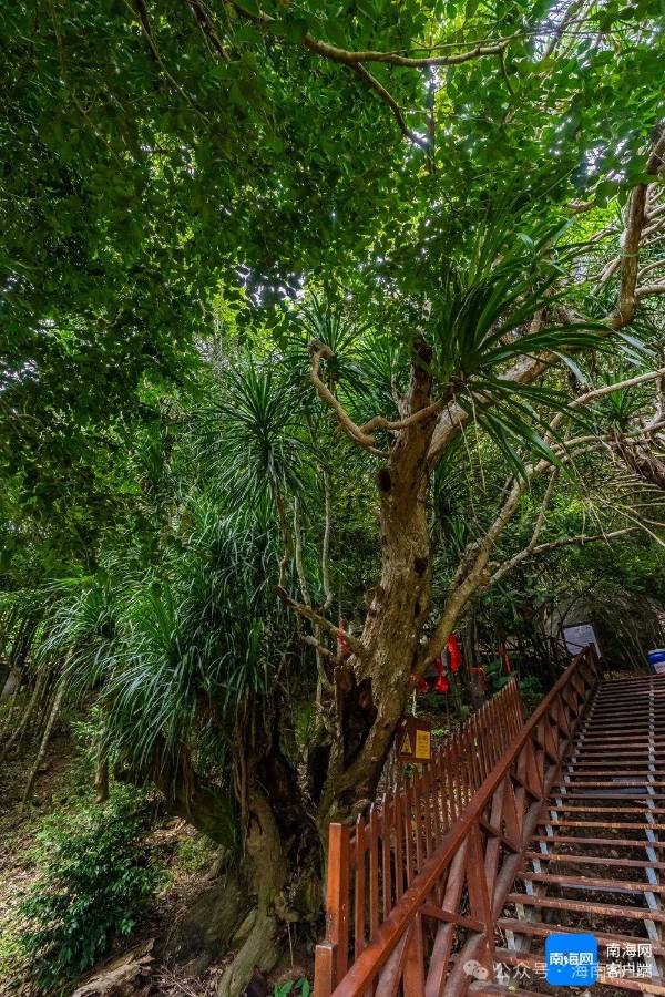 1742261378882444.jpg 1 (1).jpg