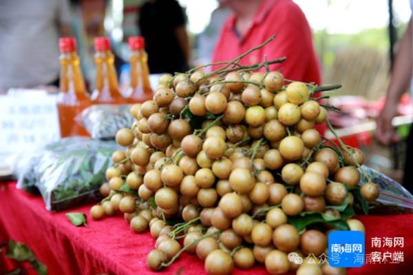 1742261395396029.jpg 2 (1).jpg