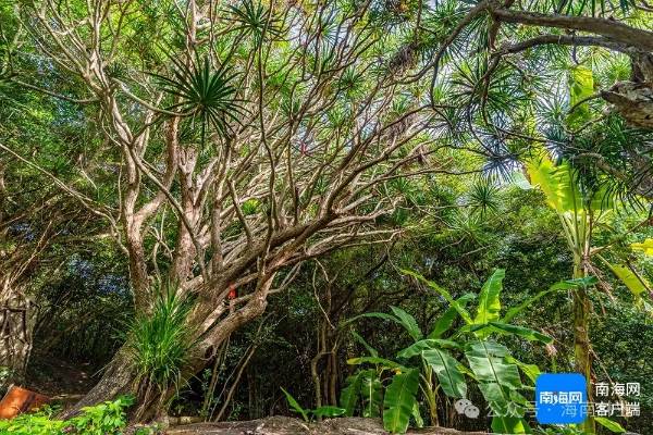 1742261416339690.jpg 3 (1).jpg