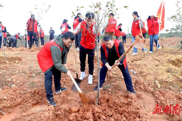 1742261885140337.jpg 1 (1).jpg