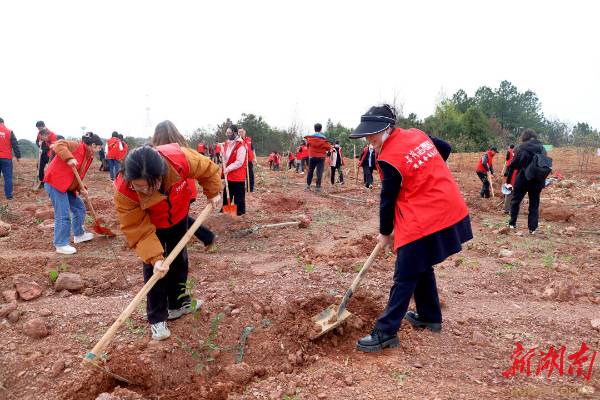 1742261893561869.jpg 2 (1).jpg