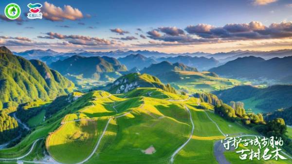 1742262498878214.jpg 1.jpg