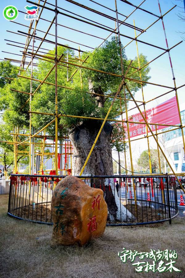 1742262511928637.jpg 2.jpg