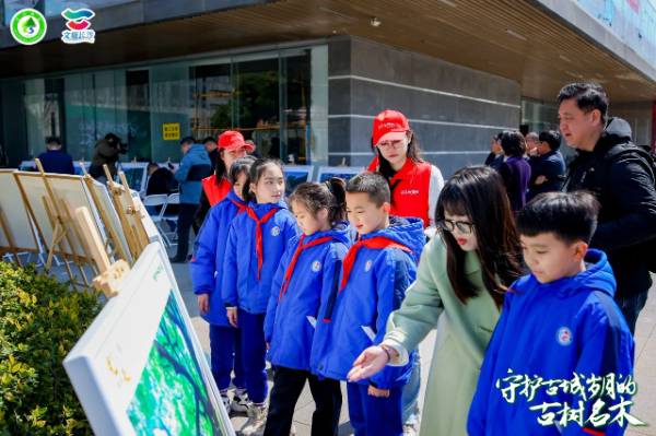 1742262519420361.jpg 3.jpg