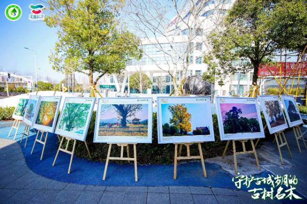 1742262578206748.jpg 7.jpg