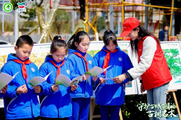 1742262585281825.jpg 8.jpg