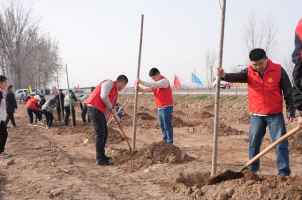 1742274142931227.jpg 4.jpg