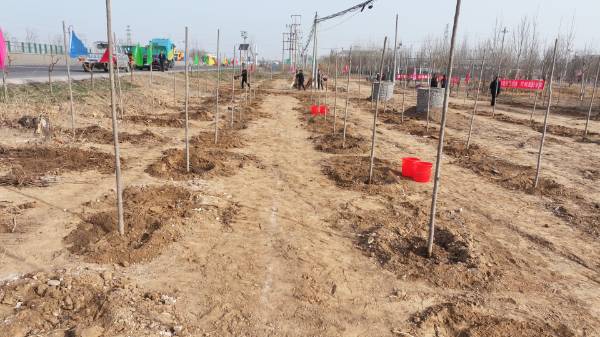 1742274159911708.png 7.png