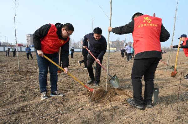 1742274221634470.jpg 10.jpg