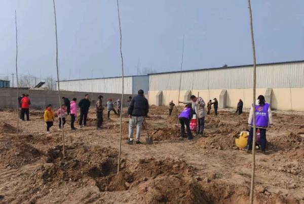 1742274234869620.jpg 12.jpg