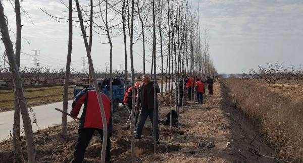 1742274242628673.jpg 13.jpg