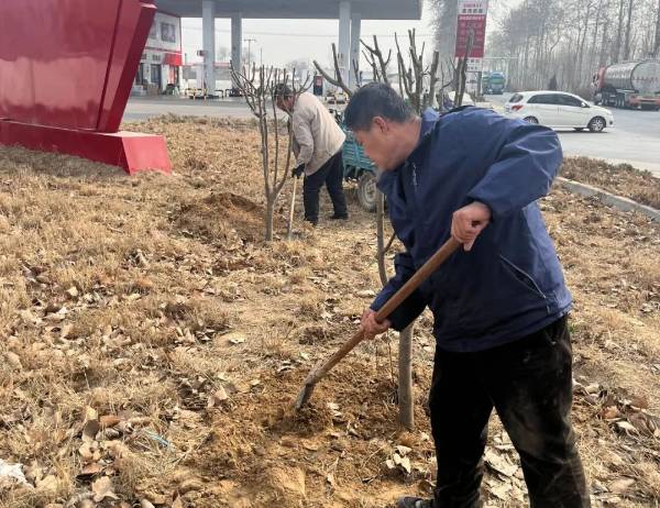 1742274267154049.jpg 16.jpg