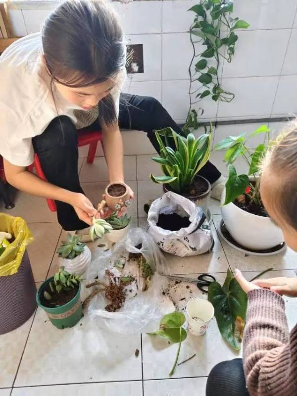 1742275489114919.jpg 1.jpg