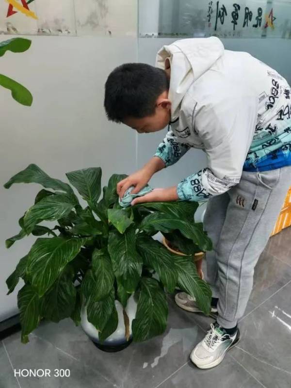 1742275493915100.jpg 2.jpg