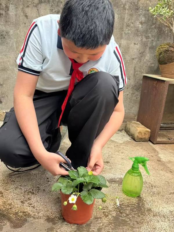 1742275496833538.jpg 3.jpg