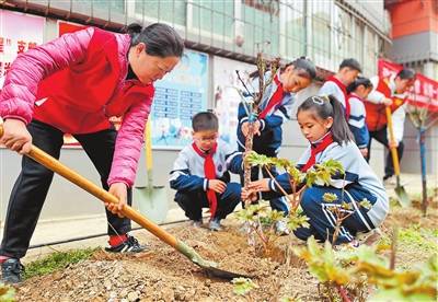 1742276738109225.jpg 3 (1).jpg