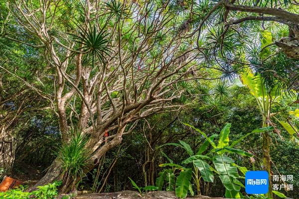 1742279995699685.jpg 11 (1).jpg