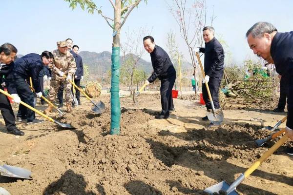 1742347406717960.jpg 1 (1).jpg