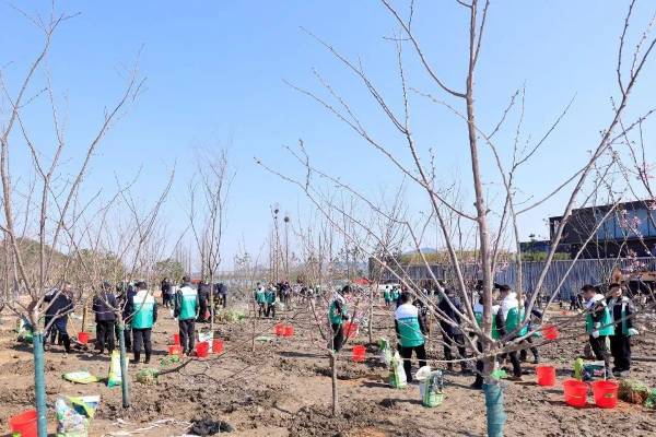 1742347427511492.jpg 2 (1).jpg