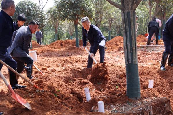 1742347601876944.jpg 3 (1).jpg