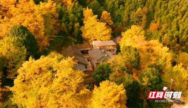 1742348125570501.jpg 2.jpg