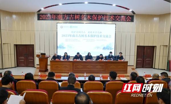 1742348151275061.jpg 5.jpg