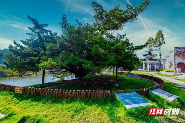 1742348164896130.jpg 7.jpg