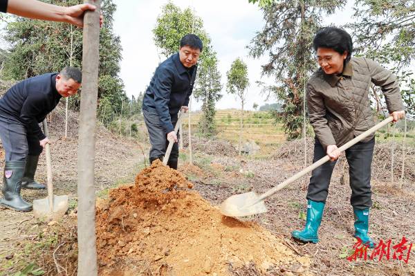 1742348363267253.jpg 2 (1).jpg