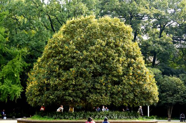 1742348565196292.png 1.png