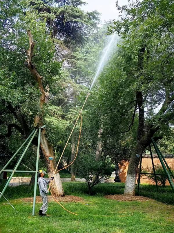 1742348619374392.png 3.png