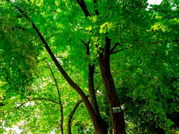 1742348644531507.png 5.png