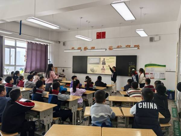 1742349025328287.jpg 图片 11.jpg