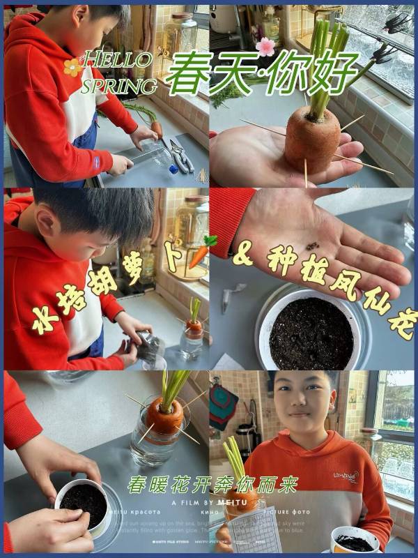 1742349066295419.jpg 图片 23.jpg