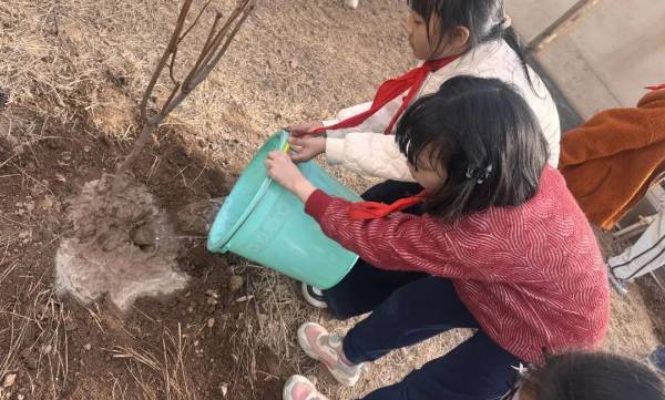 1742349076965203.jpg 图片 16.jpg