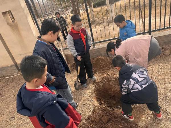 1742349079719180.jpg 图片 17.jpg