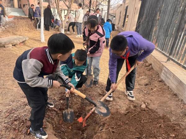 1742349085411759.jpg 图片 18.jpg