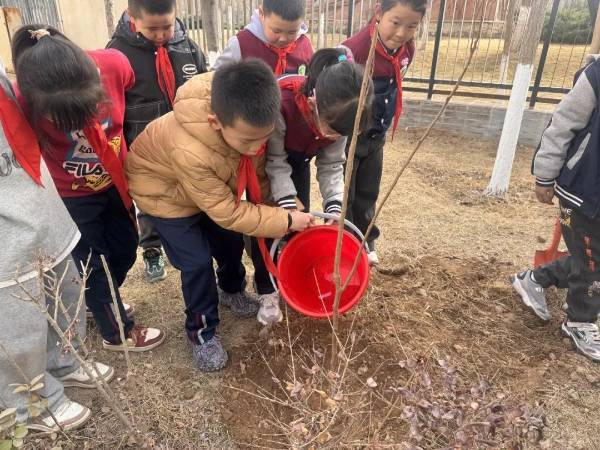 1742349090769618.jpg 图片 19.jpg