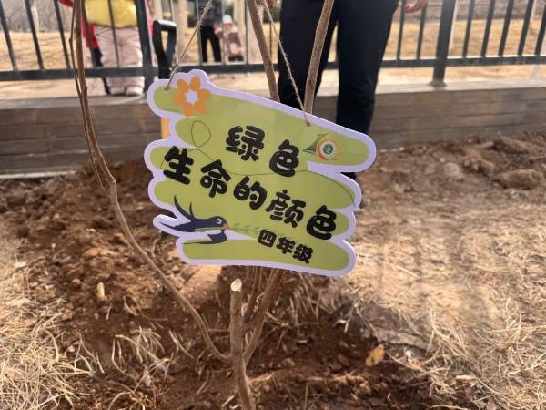 1742349096178660.jpg 图片 21.jpg