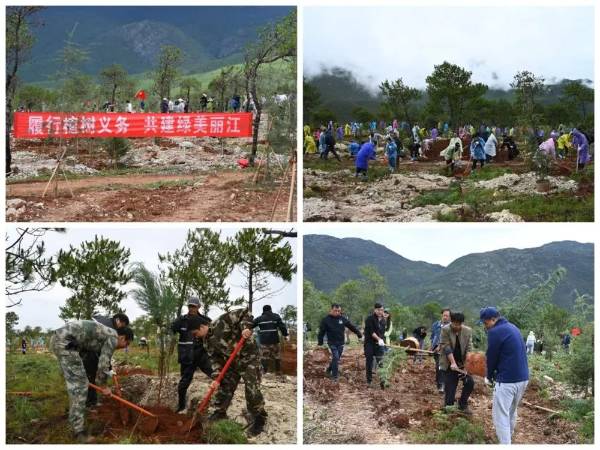 1742365057316416.jpg 2.jpg