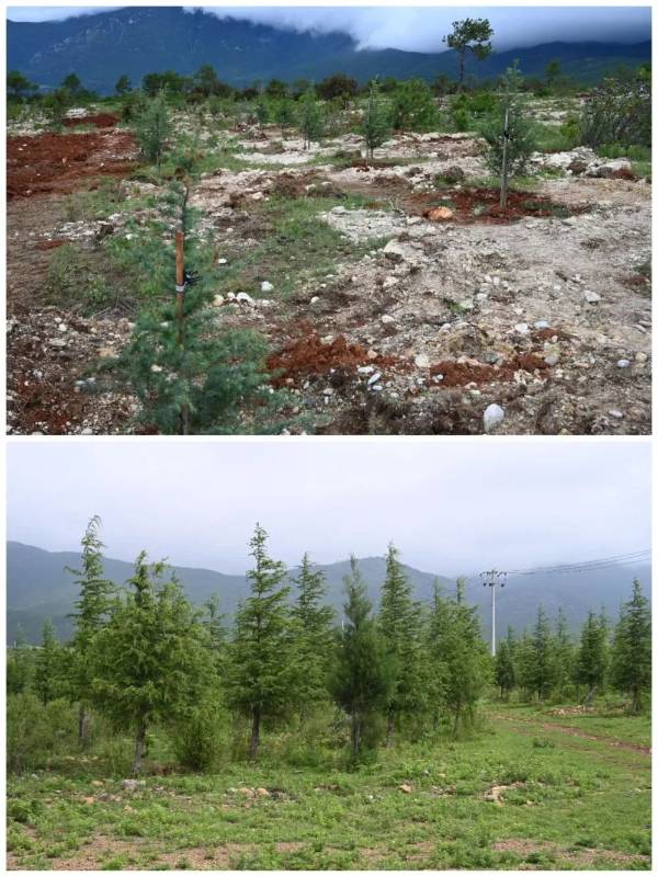 1742365082864643.jpg 3.jpg