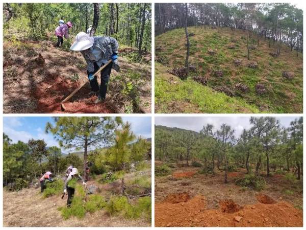 1742365089667722.jpg 4.jpg