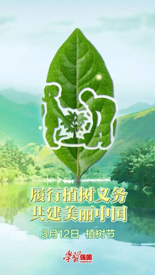 1742365096621291.jpg 5.jpg