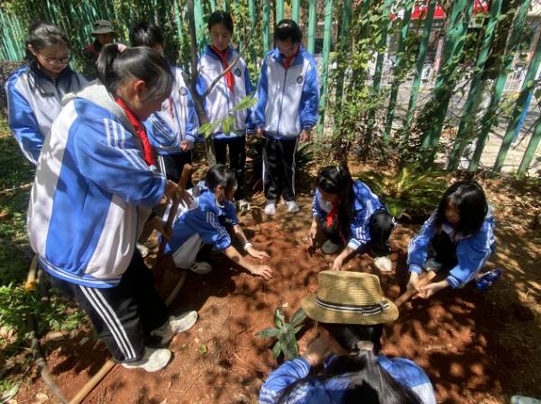 1742365542839189.png 13.png