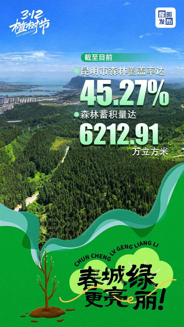 1742366101722275.jpg 1.jpg