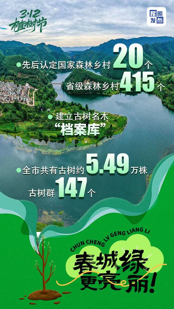 1742366112506426.jpg 4.jpg